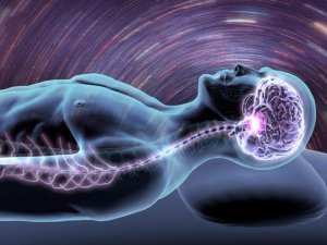 فرایند زیستی در خواب